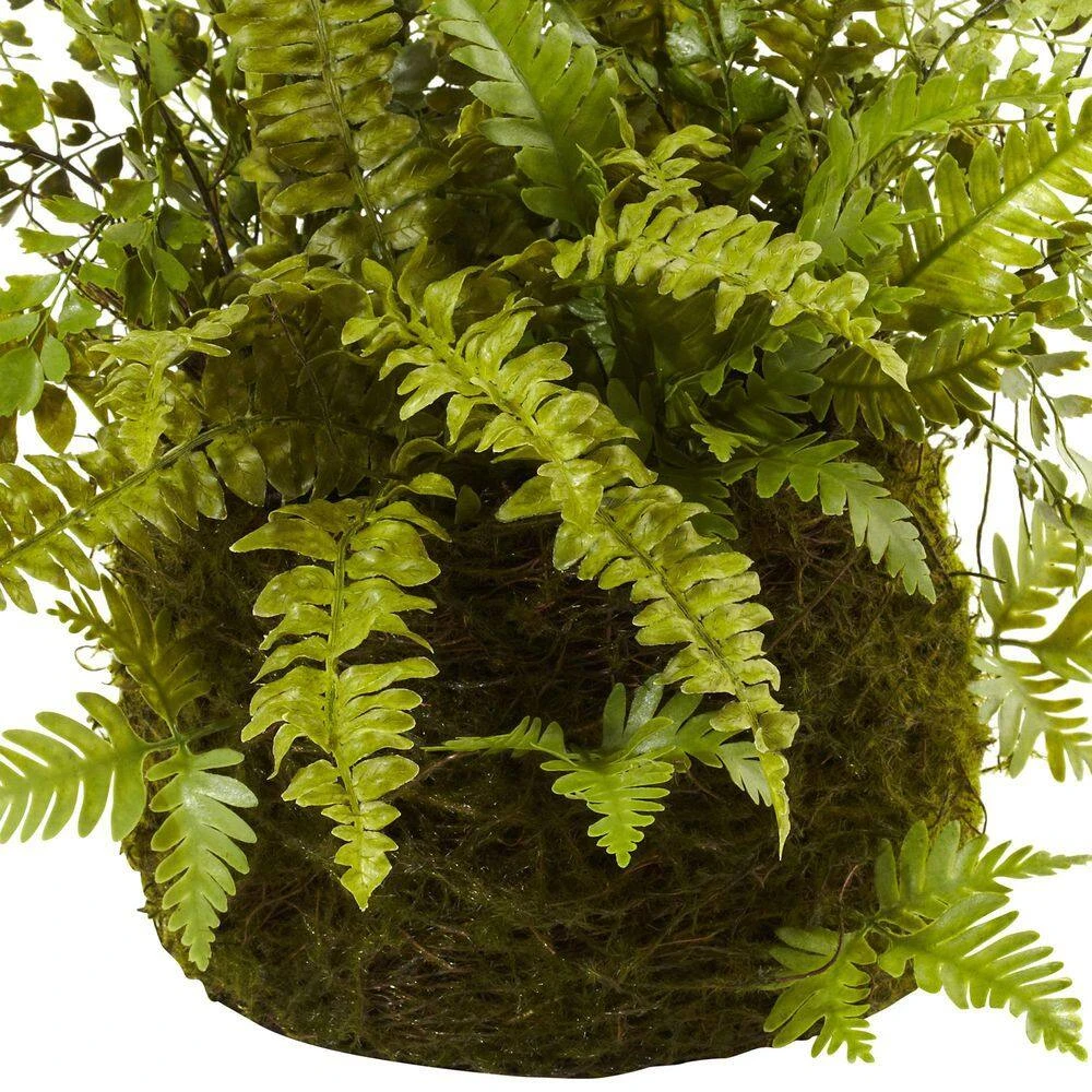Artificial Mixed Fern With Twig And Moss Basket 4 Artificial Mixed Fern With Twig And Moss Basket - Image 2