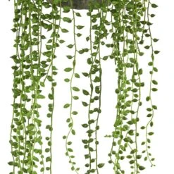 Indoor String Of Pearl Artificial Plant Hanging Basket -Artificial nearly natural artificial ferns 4247 4f 1000