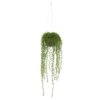 Indoor String Of Pearl Artificial Plant Hanging Basket 1 Indoor String Of Pearl Artificial Plant Hanging Basket -Artificial nearly natural artificial ferns 4247 64 1000