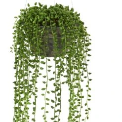 Indoor String Of Pearl Artificial Plant Hanging Basket -Artificial nearly natural artificial ferns 4247 c3 1000