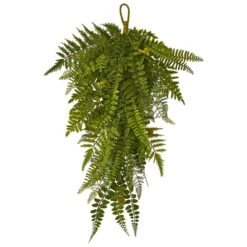 Indoor 28in. Fern Artificial Teardrop (Set Of 2)