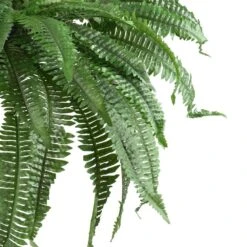 48 In. Artificial Boston Fern (Set Of 2) 11 48 In. Artificial Boston Fern (Set Of 2) -Artificial nearly natural artificial ferns 6051 s2 1f 1000
