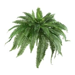 48 In. Artificial Boston Fern (Set Of 2) 12 48 In. Artificial Boston Fern (Set Of 2) -Artificial nearly natural artificial ferns 6051 s2 44 1000