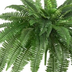 48 In. Artificial Boston Fern (Set Of 2) 10 48 In. Artificial Boston Fern (Set Of 2) -Artificial nearly natural artificial ferns 6051 s2 4f 1000