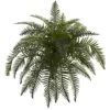 Indoor 26 In. River Fern Artificial Plant (2-Set) 2 Indoor 26 In. River Fern Artificial Plant (2-Set) -Artificial nearly natural artificial ferns 6119 s2 64 1000