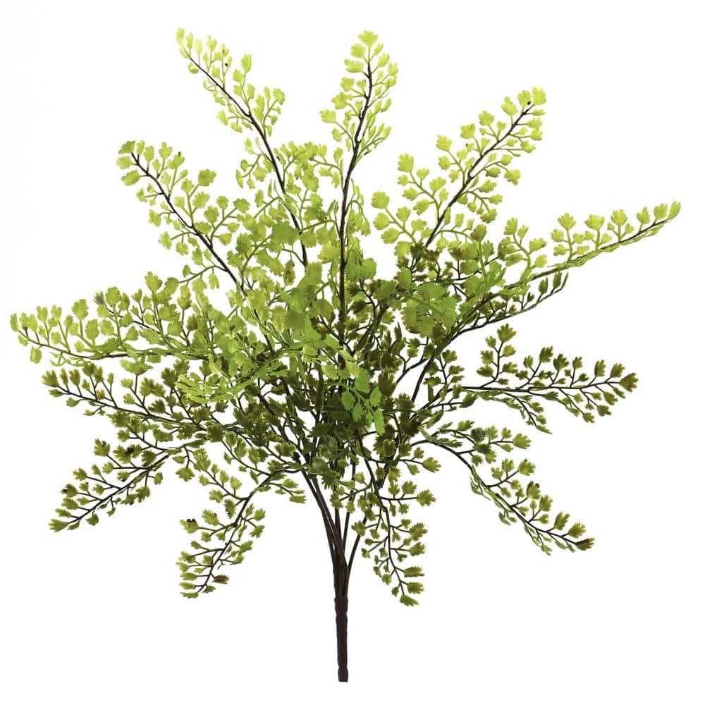 Indoor 15 In. Maiden Hair Artificial Plant (Set Of 12) 5 Indoor 15 In. Maiden Hair Artificial Plant (Set Of 12) - Image 3
