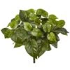 Indoor 16 In. Pothos Artificial Plant (Set Of 6) 2 Indoor 16 In. Pothos Artificial Plant (Set Of 6) -Artificial nearly natural artificial ferns 6150 s6 64 1000