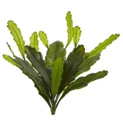 Indoor 14 In. Epiphyllum Cactus Artificial Plant (Set Of 4) -Artificial nearly natural artificial ferns 6177 s4 31 1000