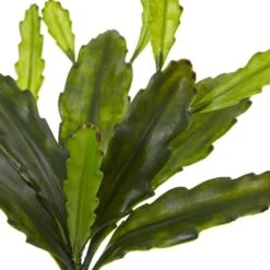 Indoor 14 In. Epiphyllum Cactus Artificial Plant (Set Of 4) -Artificial nearly natural artificial ferns 6177 s4 4f 1000