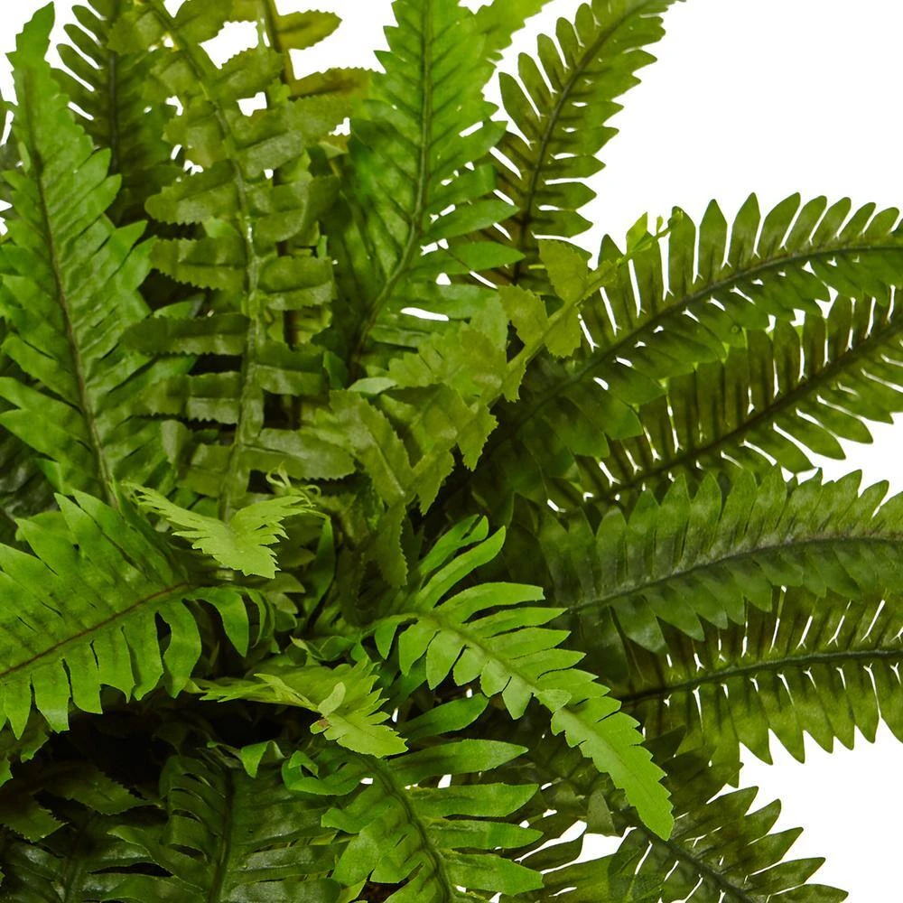Indoor Boston Artificial Fern In White Planter 4 Indoor Boston Artificial Fern In White Planter - Image 2