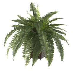 23 In. Artificial Boston Fern Silk Plant With Wicker Basket -Artificial nearly natural artificial ferns 6549 4f 1000