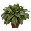 23 In. Artificial H Green Birdsnest Fern With Decorative Vase Silk Plant 2 23 In. Artificial H Green Birdsnest Fern With Decorative Vase Silk Plant -Artificial nearly natural artificial ferns 6659 64 1000