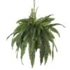 Large Artificial Boston Fern Hanging Basket 1 Large Artificial Boston Fern Hanging Basket -Artificial nearly natural artificial ferns 6774 64 1000