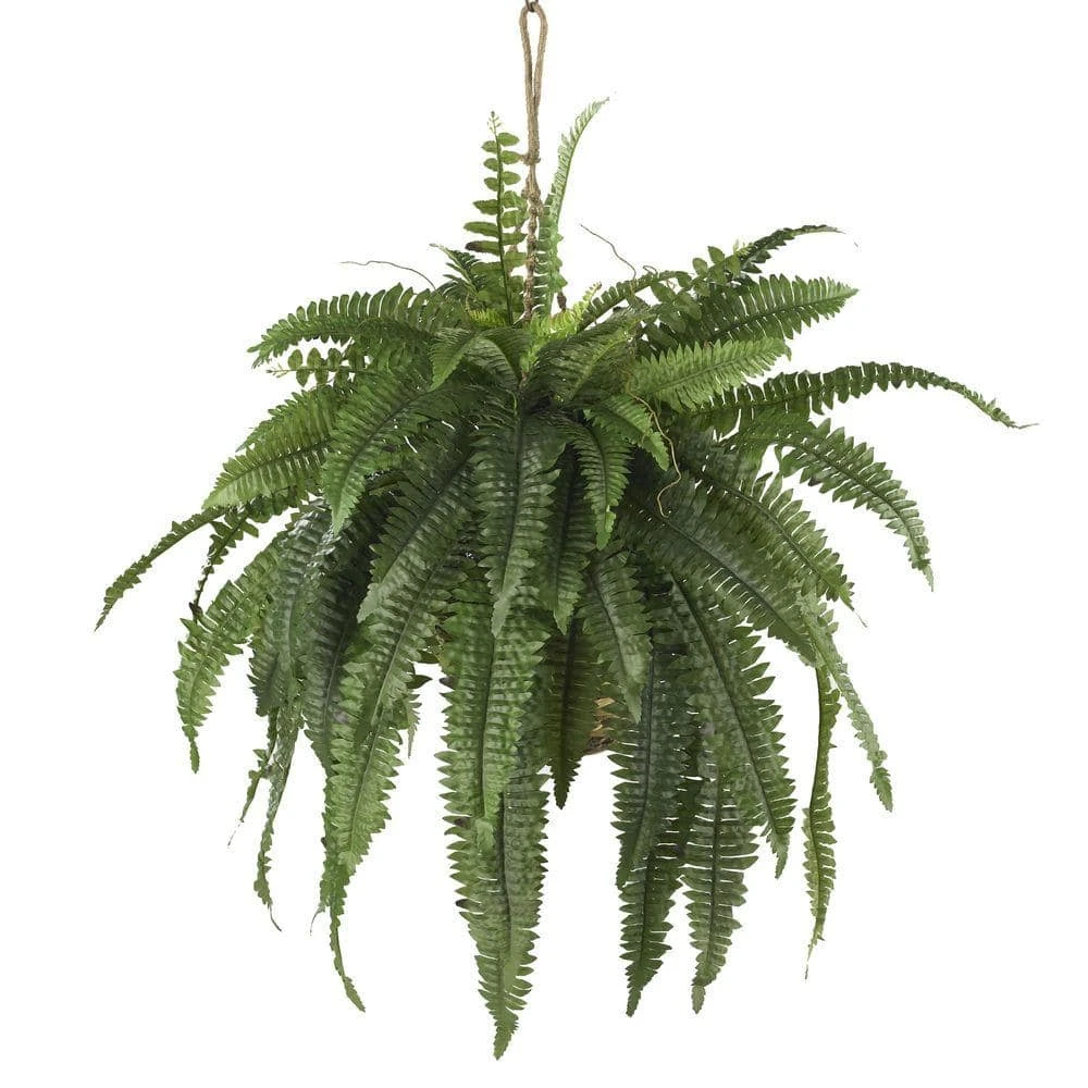 Large Artificial Boston Fern Hanging Basket 3 Large Artificial Boston Fern Hanging Basket
