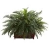Artificial River Fern With Wood Planter 1 Artificial River Fern With Wood Planter -Artificial nearly natural artificial ferns 6804 64 1000