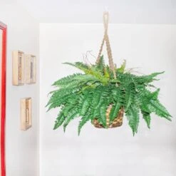 29 In. Artificial Boston Fern Hanging Basket -Artificial nearly natural artificial ferns 6931 fa 1000
