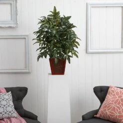 Indoor Bracken Artificial Fern In Wooden Planter 9 Indoor Bracken Artificial Fern In Wooden Planter -Artificial nearly natural artificial ferns 6941 31 1000