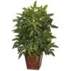 Indoor Bracken Artificial Fern In Wooden Planter 1 Indoor Bracken Artificial Fern In Wooden Planter -Artificial nearly natural artificial ferns 6941 64 1000