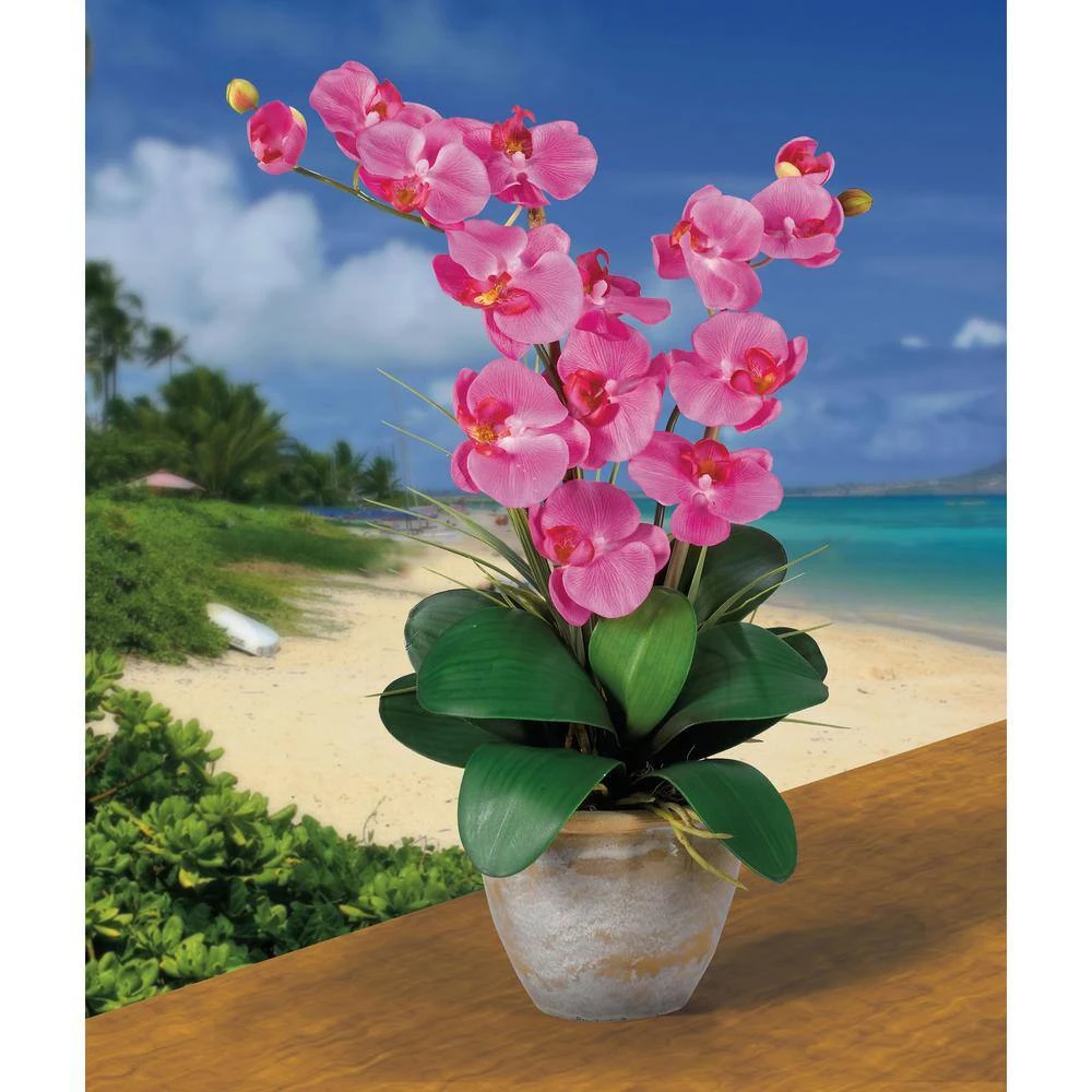 25 In. Artificial Double Phalaenopsis Silk Orchid Flower Arrangement In Dark Pink 4 25 In. Artificial Double Phalaenopsis Silk Orchid Flower Arrangement In Dark Pink - Image 2