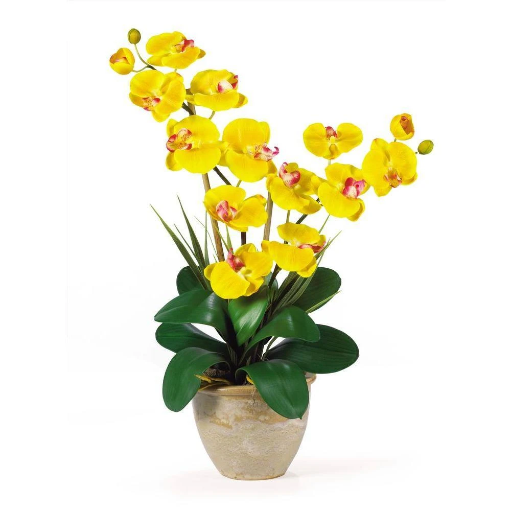 25 In. Artificial Double Stem Phalaenopsis Silk Orchid Flower Arrangement 5 25 In. Artificial Double Stem Phalaenopsis Silk Orchid Flower Arrangement - Image 3