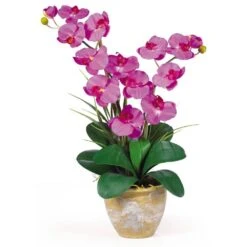 25 In. Artificial Double Phalaenopsis Silk Orchid Flower Arrangement In Orchid 7 25 In. Artificial Double Phalaenopsis Silk Orchid Flower Arrangement In Orchid -Artificial nearly natural artificial flowers 1026 or 31 1000