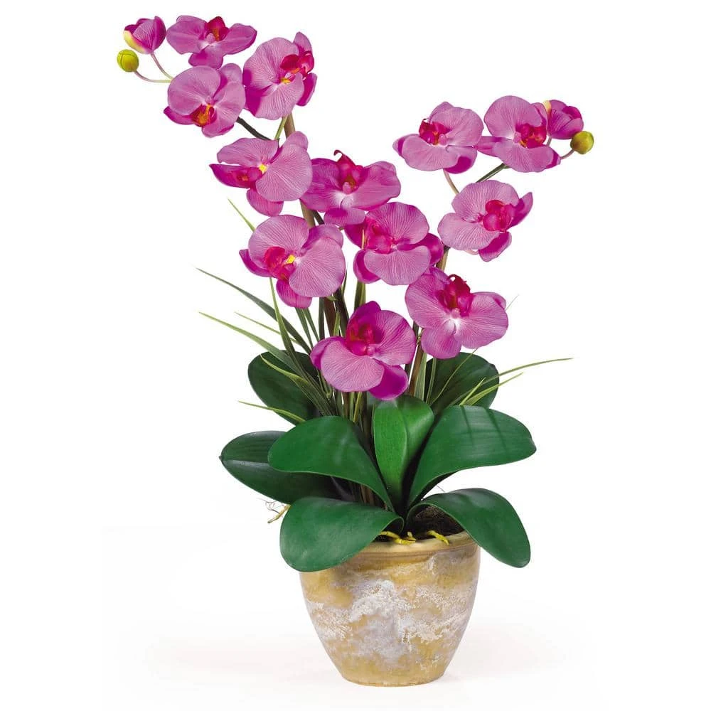 25 In. Artificial Double Phalaenopsis Silk Orchid Flower Arrangement In Orchid 5 25 In. Artificial Double Phalaenopsis Silk Orchid Flower Arrangement In Orchid - Image 3