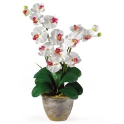 25 In. Artificial Double Phalaenopsis Silk Orchid Flower Arrangement In White 7 25 In. Artificial Double Phalaenopsis Silk Orchid Flower Arrangement In White -Artificial nearly natural artificial flowers 1026 wh 31 1000