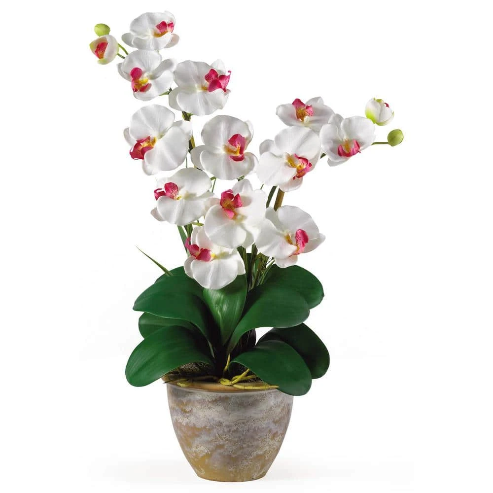 25 In. Artificial Double Phalaenopsis Silk Orchid Flower Arrangement In White 3 25 In. Artificial Double Phalaenopsis Silk Orchid Flower Arrangement In White