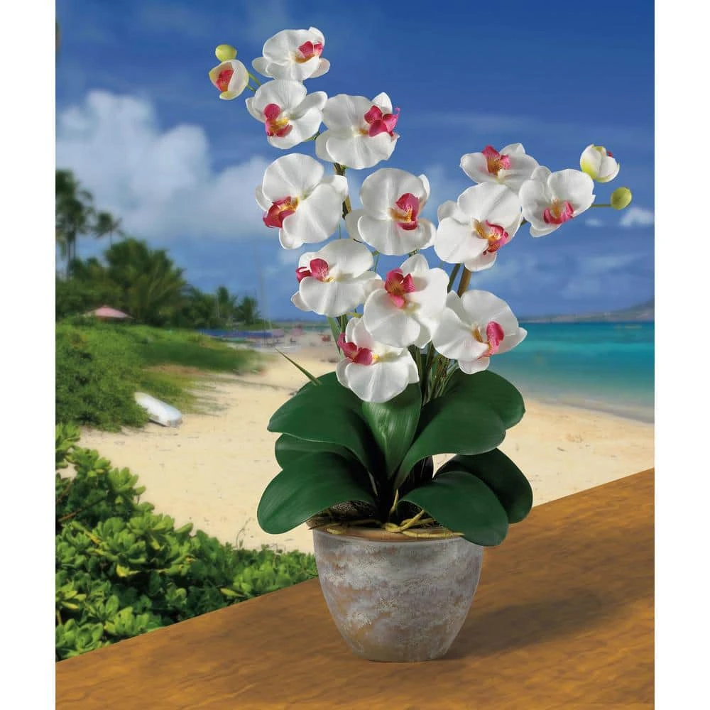 25 In. Artificial Double Phalaenopsis Silk Orchid Flower Arrangement In White 4 25 In. Artificial Double Phalaenopsis Silk Orchid Flower Arrangement In White - Image 2