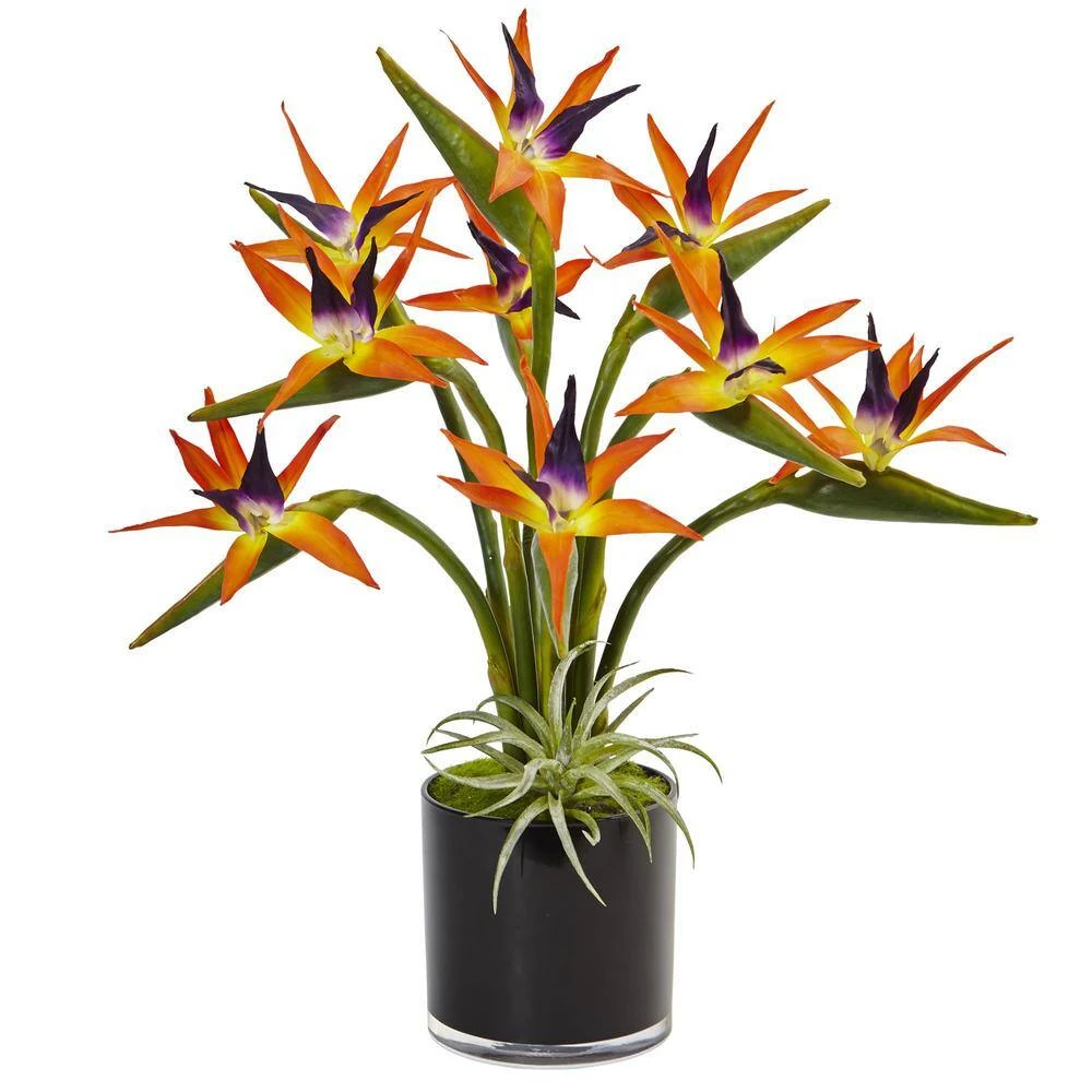 Indoor Bird Of Paradise Silk Artificial Arrangement In Black Glossy Cylinder 5 Indoor Bird Of Paradise Silk Artificial Arrangement In Black Glossy Cylinder - Image 3