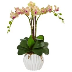 Indoor Phalaenopsis Orchid Silk Artificial Arrangement In White Vase