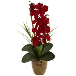 Phalaenopsis Orchid Silk Artificial Arrangement In Red