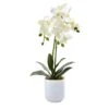 18.5 In. Artificial Phalaenopsis In Frosted Glass 1 18.5 In. Artificial Phalaenopsis In Frosted Glass -Artificial nearly natural artificial flowers 4571 64 1000