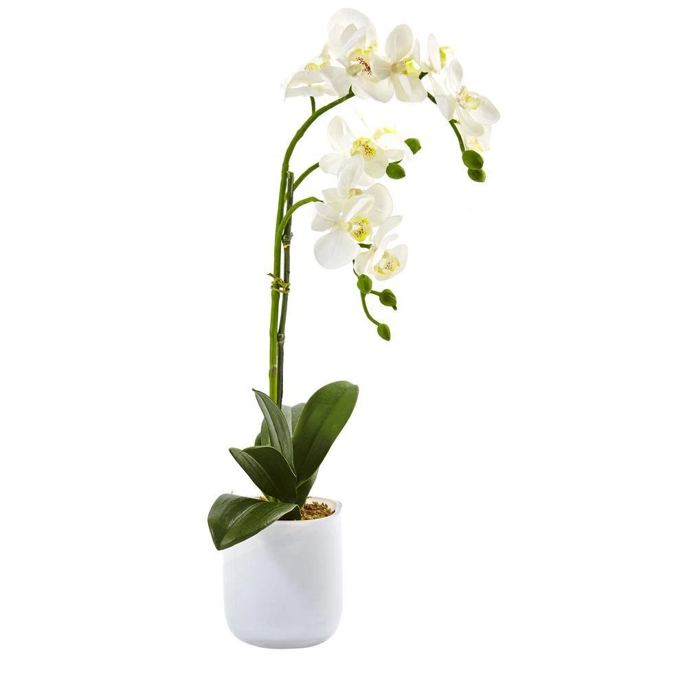 18.5 In. Artificial Phalaenopsis In Frosted Glass 4 18.5 In. Artificial Phalaenopsis In Frosted Glass - Image 2