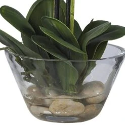 Double Phalaenopsis With Glass Vase Silk Flower Artificial Arrangement 13 Double Phalaenopsis With Glass Vase Silk Flower Artificial Arrangement -Artificial nearly natural artificial flowers 4643 wh 1d 1000