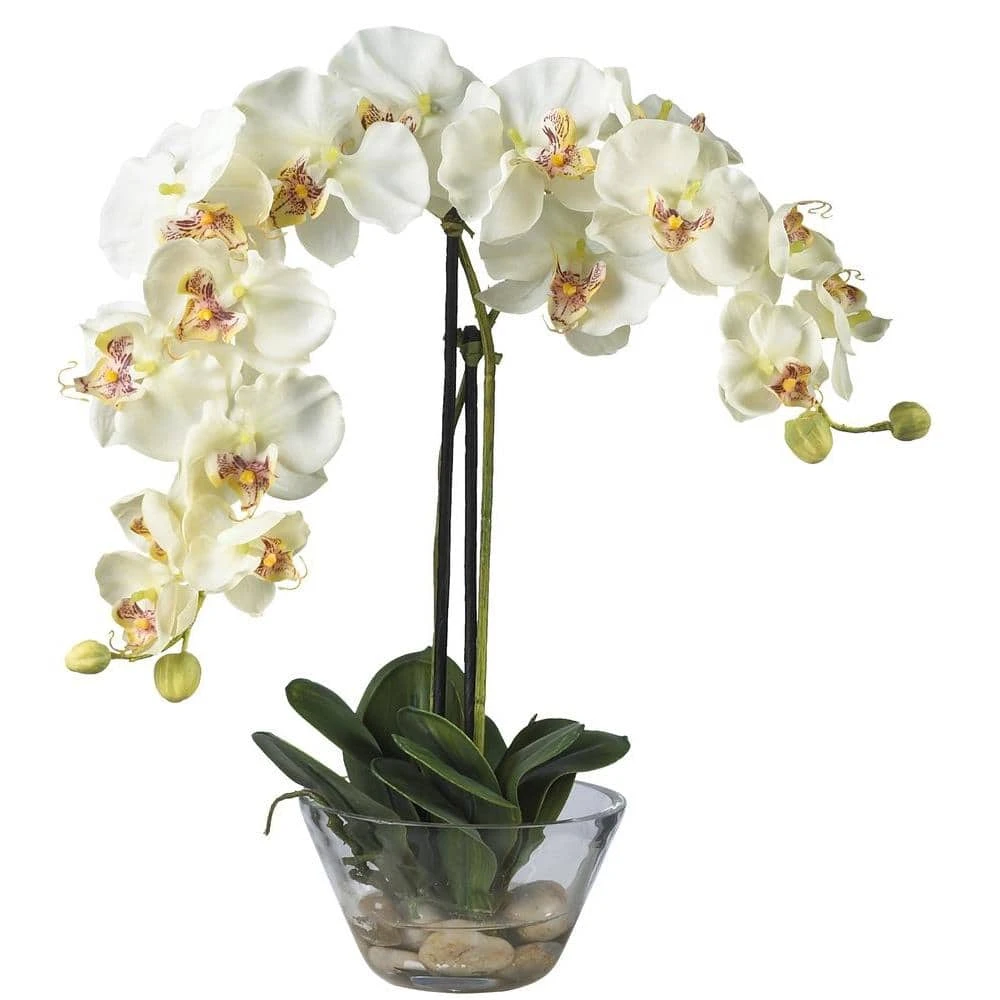Double Phalaenopsis With Glass Vase Silk Flower Artificial Arrangement 3 Double Phalaenopsis With Glass Vase Silk Flower Artificial Arrangement