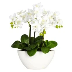 16 In. Artificial H White Phalaenopsis Silk Flower Arrangement 24 16 In. Artificial H White Phalaenopsis Silk Flower Arrangement -Artificial nearly natural artificial flowers 4804 31 1000