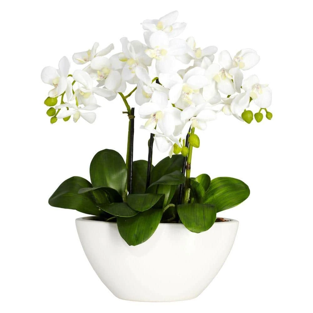 16 In. Artificial H White Phalaenopsis Silk Flower Arrangement 13 16 In. Artificial H White Phalaenopsis Silk Flower Arrangement - Image 12