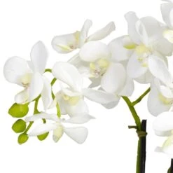16 In. Artificial H White Phalaenopsis Silk Flower Arrangement 16 16 In. Artificial H White Phalaenopsis Silk Flower Arrangement -Artificial nearly natural artificial flowers 4804 66 1000