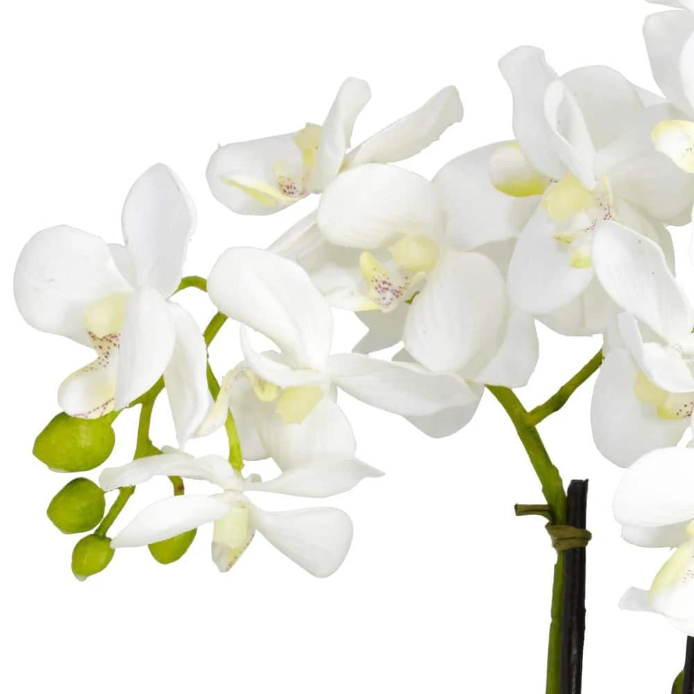 16 In. Artificial H White Phalaenopsis Silk Flower Arrangement 5 16 In. Artificial H White Phalaenopsis Silk Flower Arrangement - Image 4