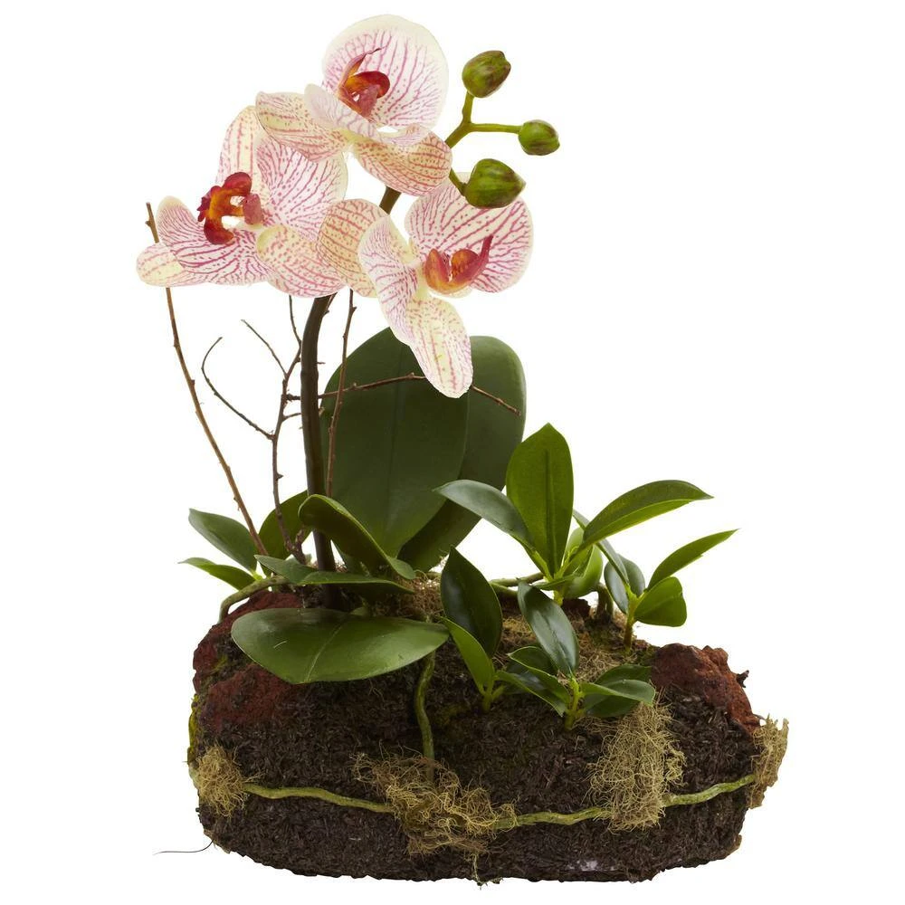Artificial Orchid Island (Set Of 2) 4 Artificial Orchid Island (Set Of 2) - Image 2