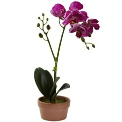 Artificial Phalaenopsis Orchid With Clay Vase (Set Of 4) 12 Artificial Phalaenopsis Orchid With Clay Vase (Set Of 4) -Artificial nearly natural artificial flowers 4991 s4 1f 1000