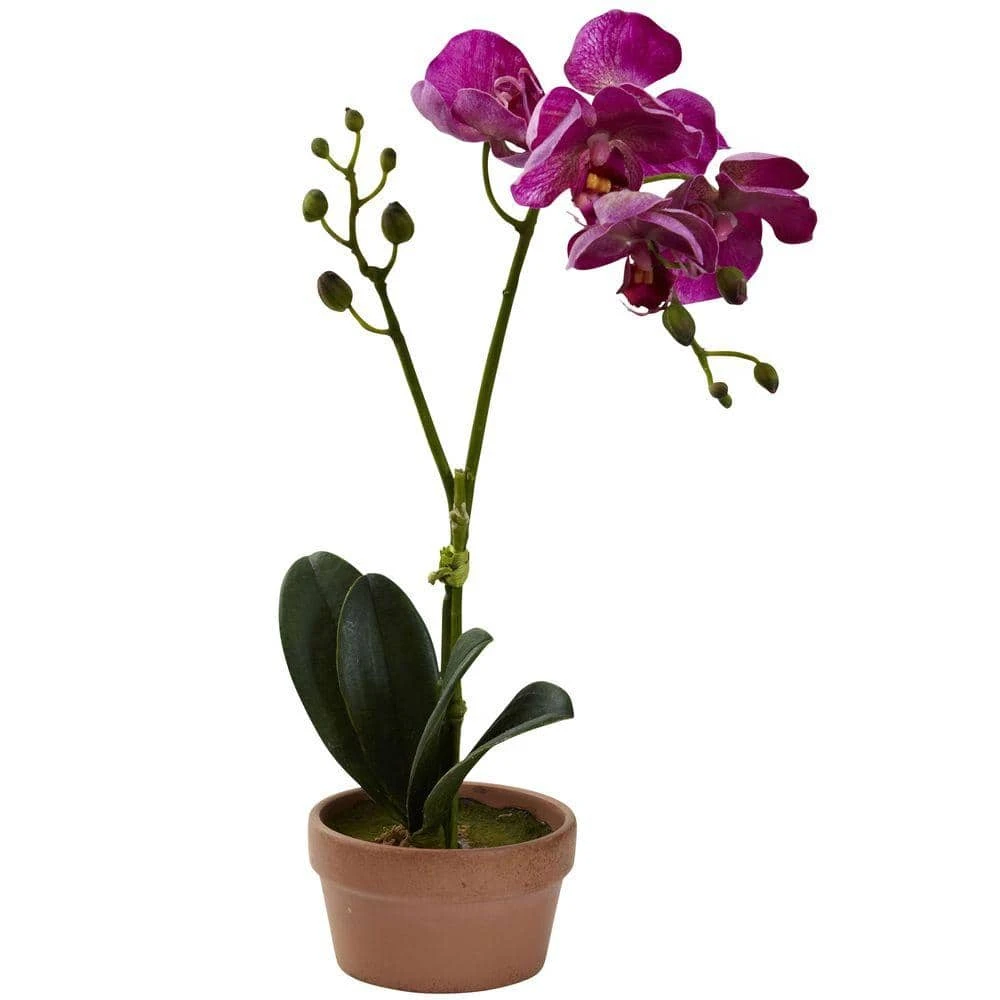 Artificial Phalaenopsis Orchid With Clay Vase (Set Of 4) 6 Artificial Phalaenopsis Orchid With Clay Vase (Set Of 4) - Image 4