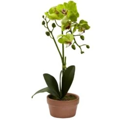 Artificial Phalaenopsis Orchid With Clay Vase (Set Of 4) 11 Artificial Phalaenopsis Orchid With Clay Vase (Set Of 4) -Artificial nearly natural artificial flowers 4991 s4 4f 1000