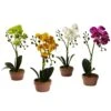 Artificial Phalaenopsis Orchid With Clay Vase (Set Of 4) 2 Artificial Phalaenopsis Orchid With Clay Vase (Set Of 4) -Artificial nearly natural artificial flowers 4991 s4 64 1000