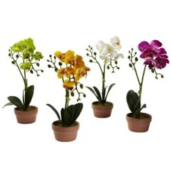 Artificial Phalaenopsis Orchid With Clay Vase (Set Of 4)