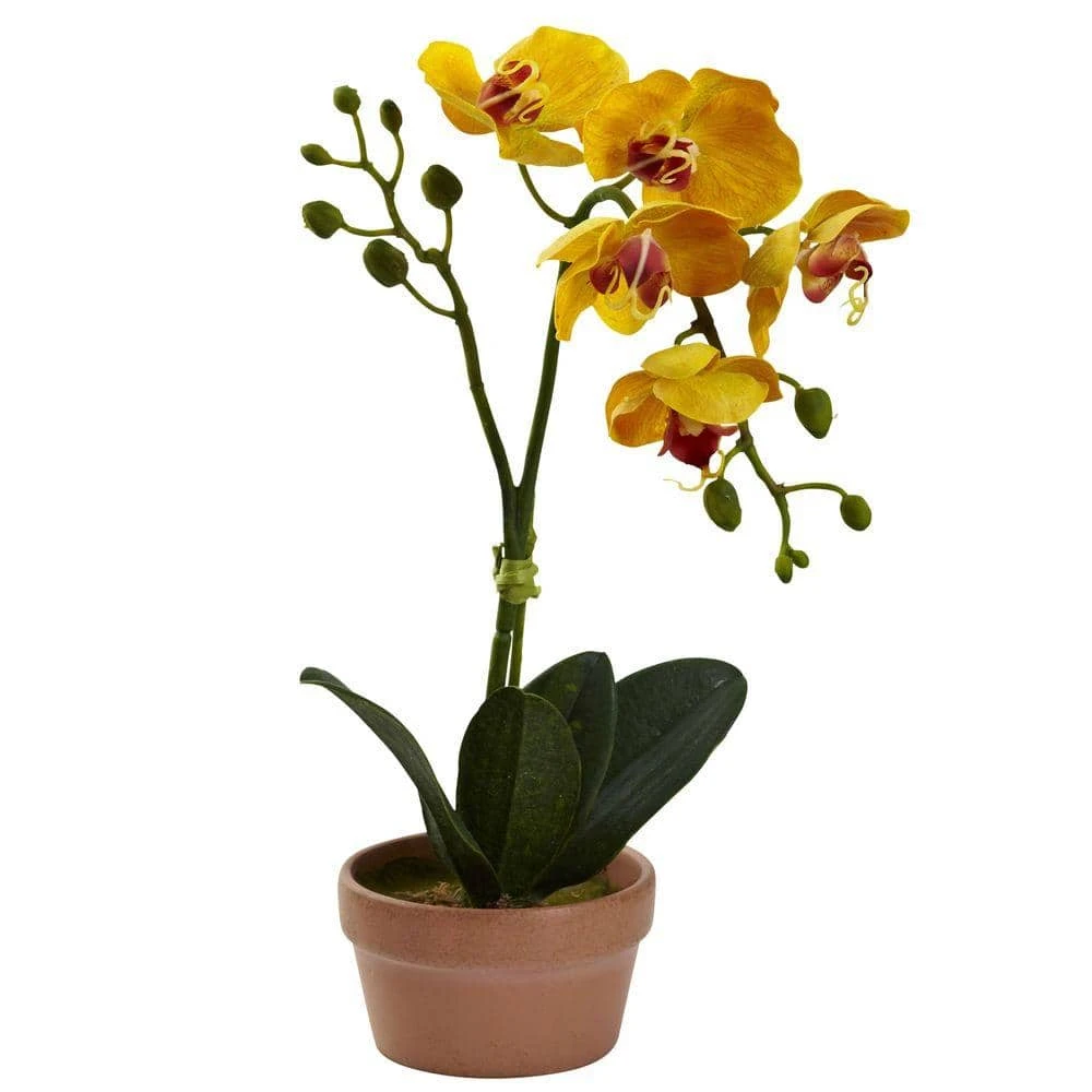 Artificial Phalaenopsis Orchid With Clay Vase (Set Of 4) 4 Artificial Phalaenopsis Orchid With Clay Vase (Set Of 4) - Image 2