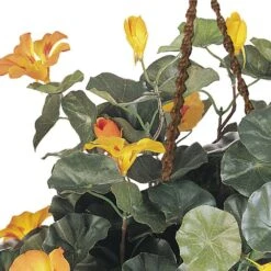 Artificial Nasturtium Hanging Basket Silk Plant 8 Artificial Nasturtium Hanging Basket Silk Plant -Artificial nearly natural artificial flowers 6025 4f 1000
