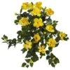 Indoor 24 In. Hibiscus Hanging Artificial Plant (2-Set) 1 Indoor 24 In. Hibiscus Hanging Artificial Plant (2-Set) -Artificial nearly natural artificial flowers 6171 s2 64 1000
