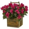 Artificial Indoor Bougainvillea Flowering Plant In Rustic Wood Planter 1 Artificial Indoor Bougainvillea Flowering Plant In Rustic Wood Planter -Artificial nearly natural artificial flowers 6323 64 1000